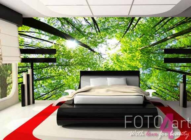 Fotobehang met een bos in huis gebruiken